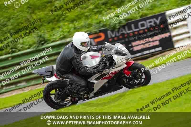 enduro digital images;event digital images;eventdigitalimages;mallory park;mallory park photographs;mallory park trackday;mallory park trackday photographs;no limits trackdays;peter wileman photography;racing digital images;trackday digital images;trackday photos